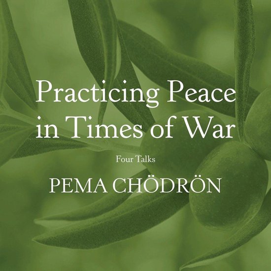 Practicing Peace in Times of War - cover