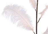 PTMD Feather fluff light brown whisk broom