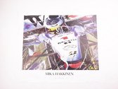 Lithografie - Eric Jan Kremer - McLaren Mercedes MP4/14 1999 #1 Mika Häkkinen