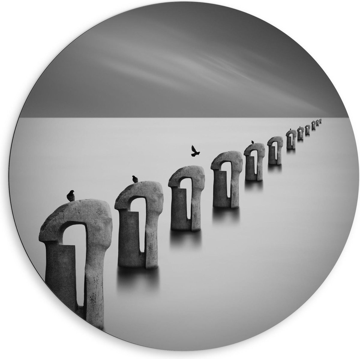 Dibond Wandcirkel - Vogels op Betonnen Palen ( Zwart Wit ) - 80x80cm Foto op Aluminium Wan