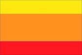 Vlag gemeente Beuningen 100x150 cm