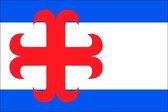 Vlag gemeente Zutphen 150x225 cm