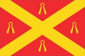 Vlag gemeente Wijchen 200x300 cm