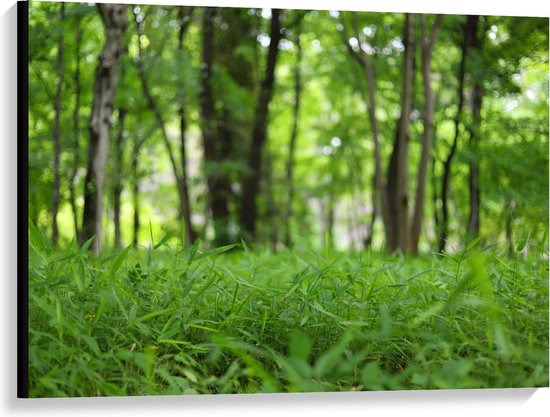 Toile - Champ d'herbe verte dans les Forêts - 100x75cm Photo sur toile (Décoration murale sur toile)