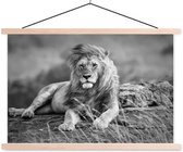 Sweet Living Poster - Leeuw - 60 X 90 Cm - Zwart En Wit