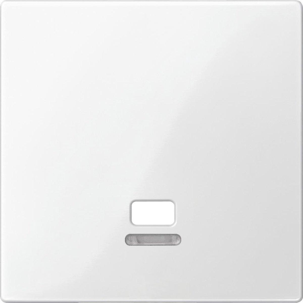 Inzetstuk Trekschakelaar Controlevenster - Polarwit - Systeem M - Schneider Electric - MTN3380-0319
