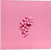Acrylglas - Roze Druiven op Roze Achtergrond - 50x50cm Foto op Acrylglas (Met Ophangsysteem)