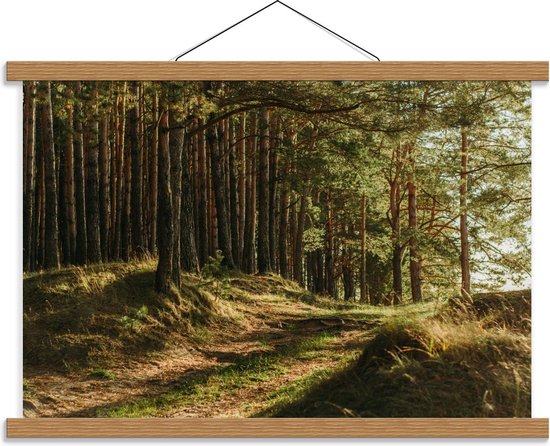 Schoolplaat – Naaldbossen - 60x40cm Foto op Textielposter (Wanddecoratie op Schoolplaat)