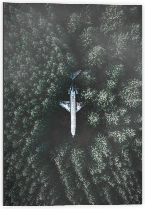 Dibond - Gestrand Vliegtuig in Bos - 40x60cm Foto op Aluminium (Wanddecoratie van metaal)