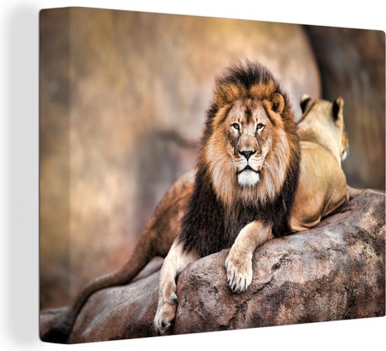 Lion et une lionne couchée sur un rocher 40x30 cm - petit - Tirage photo sur toile (Décoration murale salon / chambre) / Peintures sur toile animaux sauvages