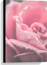 Canvas  - Roze Bloem met IJs - 40x60cm Foto op Canvas Schilderij (Wanddecoratie op Canvas)