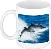 Dieren dolfijn groep foto mok 300 ml - cadeau beker / mok dolfijnen liefhebber