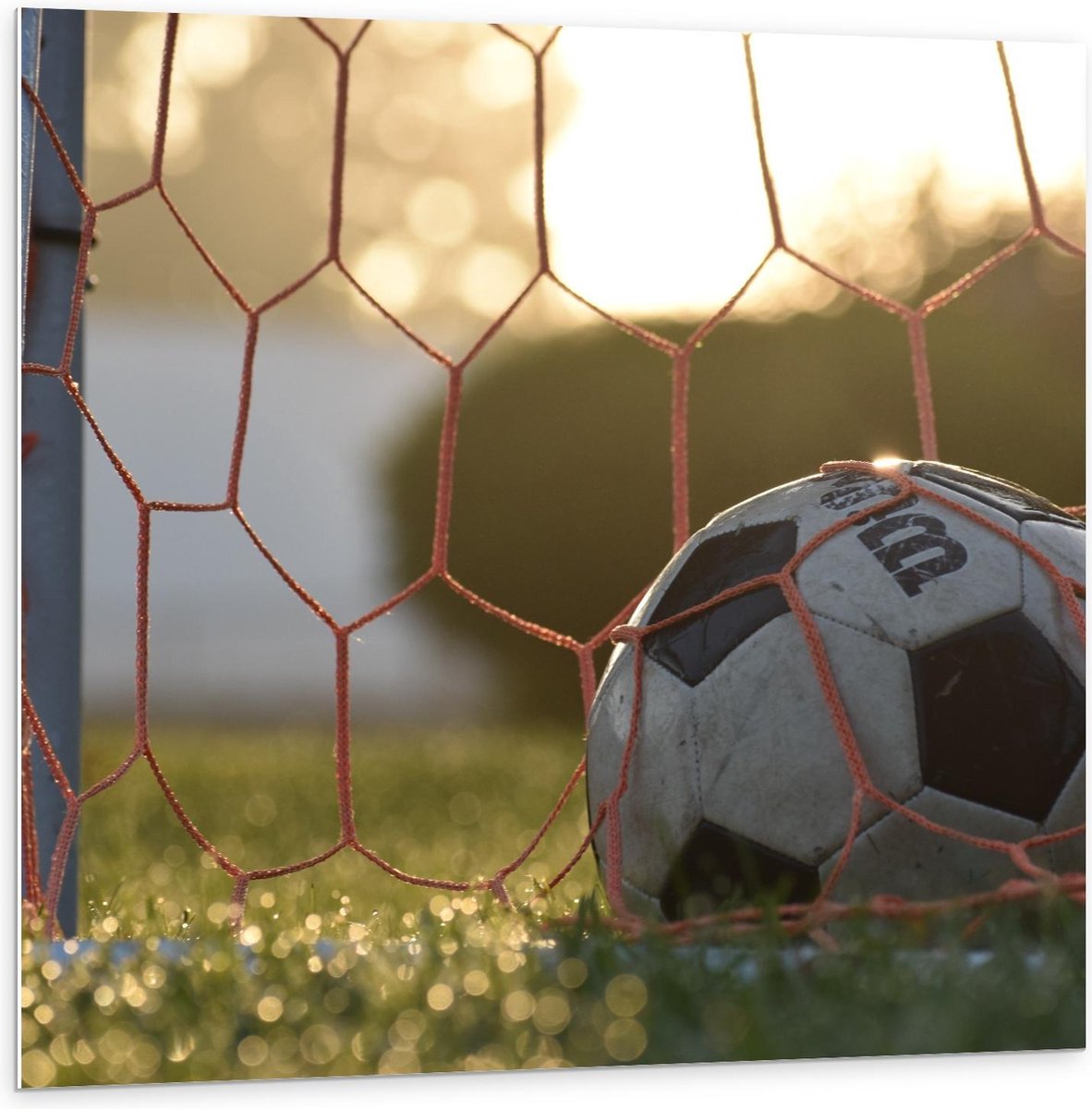 Forex - Voetbal in de Goal - 100x100cm Foto op Forex