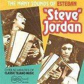 Steve Jordan - Many Sounds Of (CD)