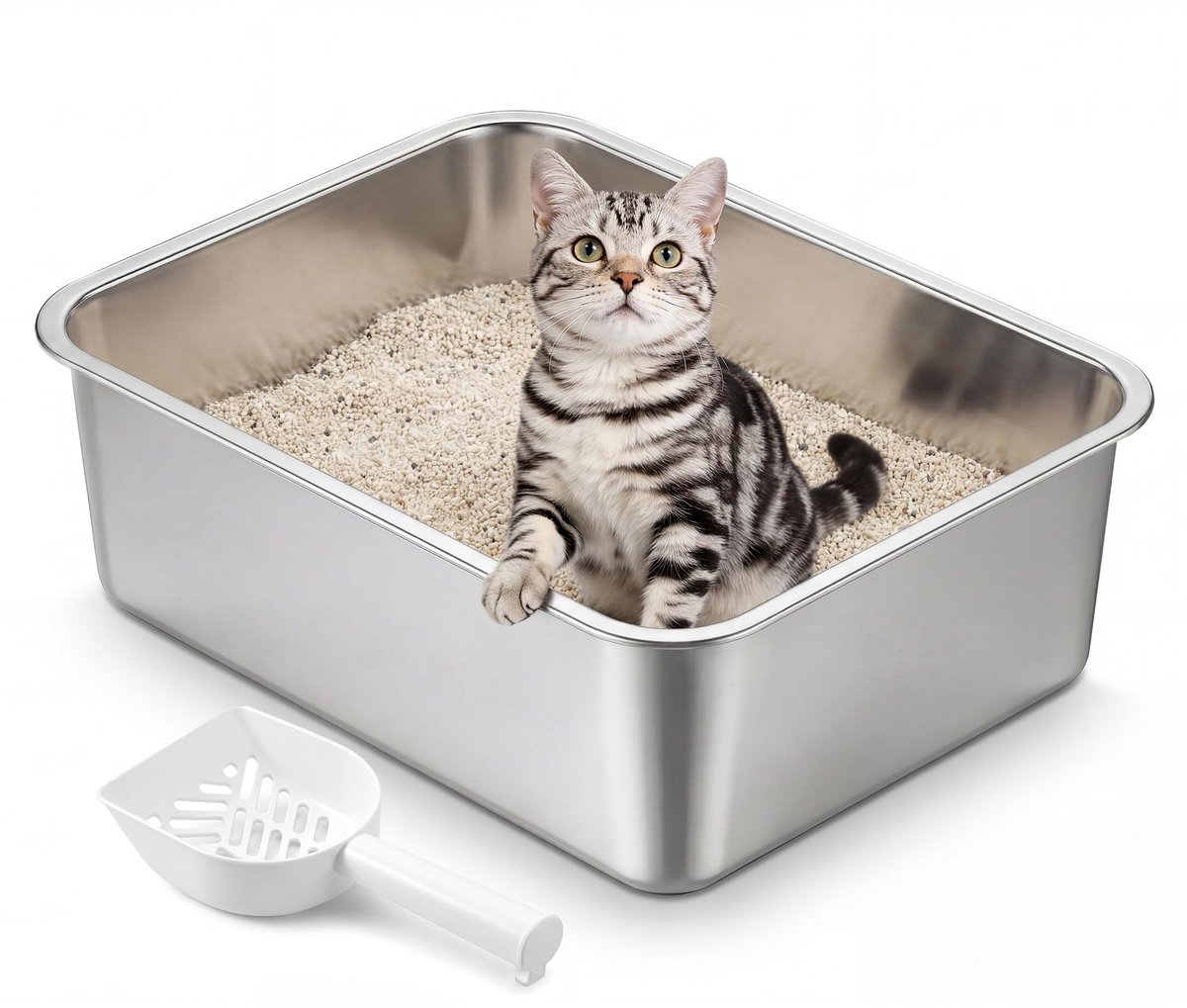 Famanu – Roestvrijstalen open kattenbak met schepje, geurloos en gemakkelijk schoon te maken, maat M, 45 x 35 x 15 cm, geschikt voor kittens en kleine katten