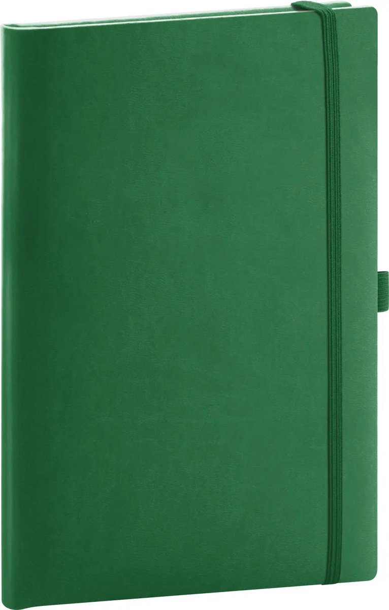 Aprint Green Notitieboek A5 Stippen