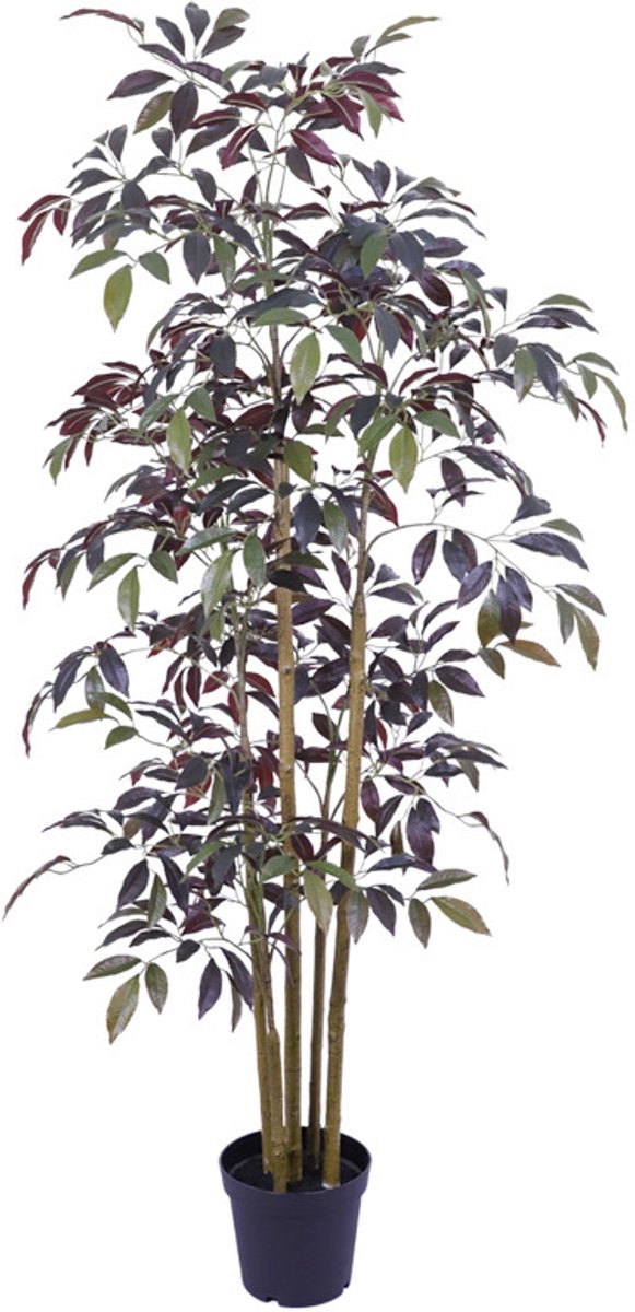 Kunstboom Crenata real touch 200cm