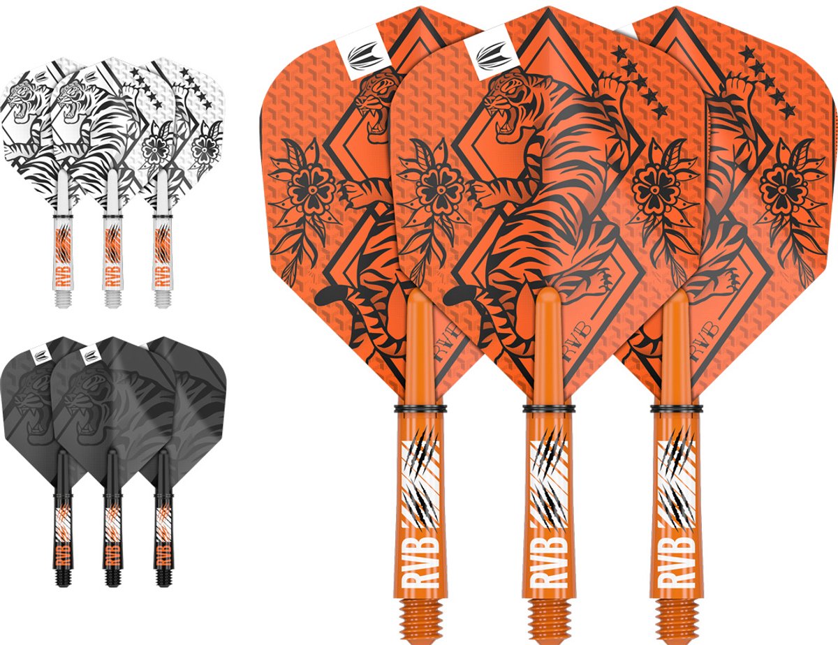Target Raymond van Barneveld Ink Flight Shaft Kit - Dart Flights