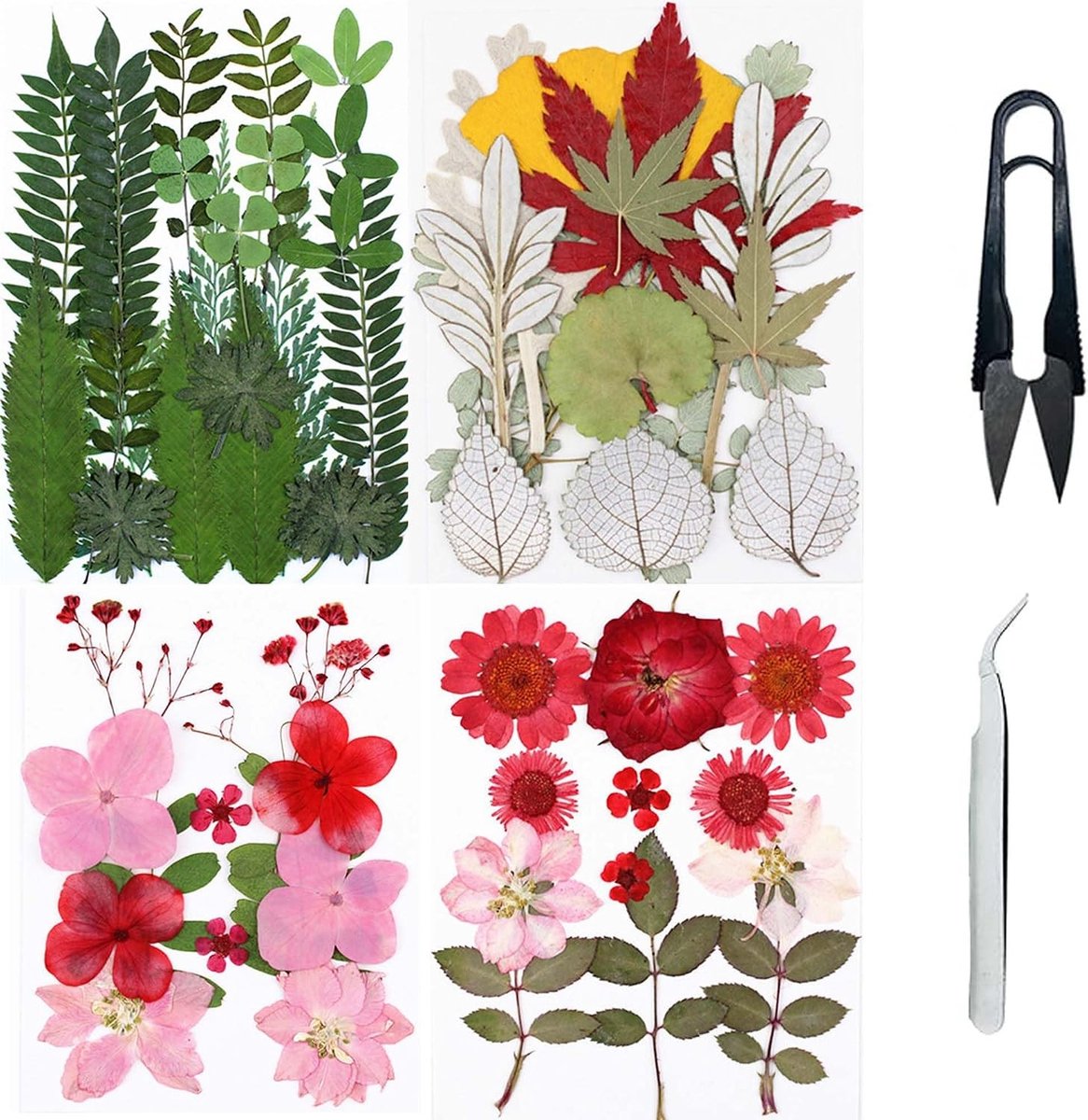 Set van 4 Gedroogde Bloemen voor Natuurlijke Hars, Geperste Bloemen voor Scrapbooking en Epoxy Sieraden (Groen, Roze, Rood)