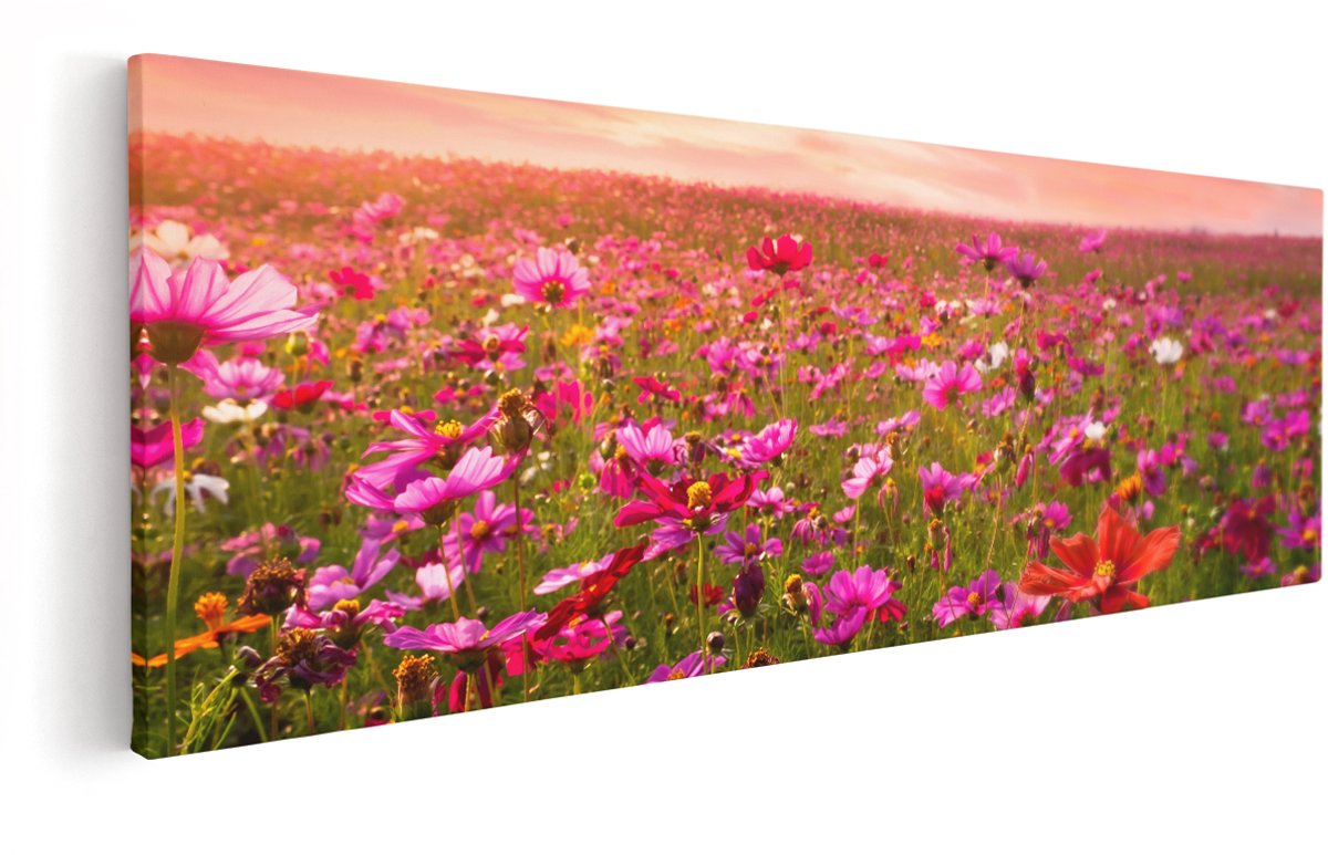 Artaza Canvas Schilderij Kleurrijke Kosmos Bloemenveld - 150x50 cm - Groot - Wanddecoratie Woonkamer - Schilderijen - Muurdecoratie