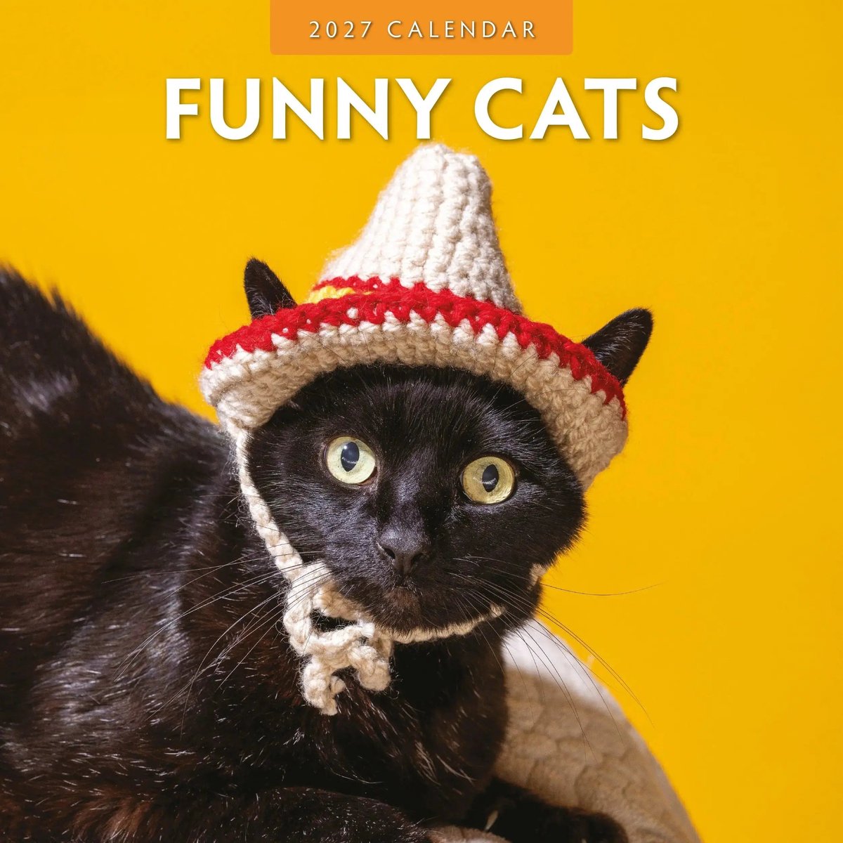 Funny Cats Kalender 2027