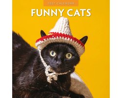 Funny Cats Kalender 2027