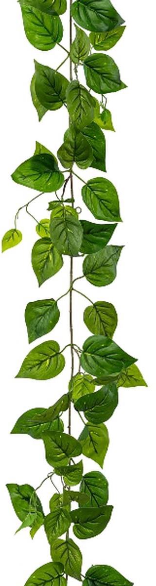 Gasper Filodendronslinger Groen 210 cm