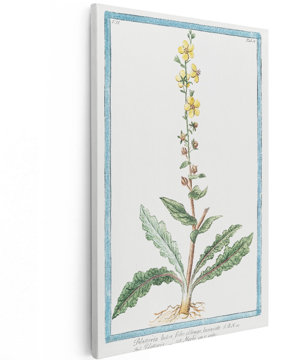 Artaza Canvas Schilderij Gele Toorts - 120x180 cm - Groot - Wanddecoratie Bloemen Vintage - Muurdecoratie Plant - Decoratie Botanische Illustratie