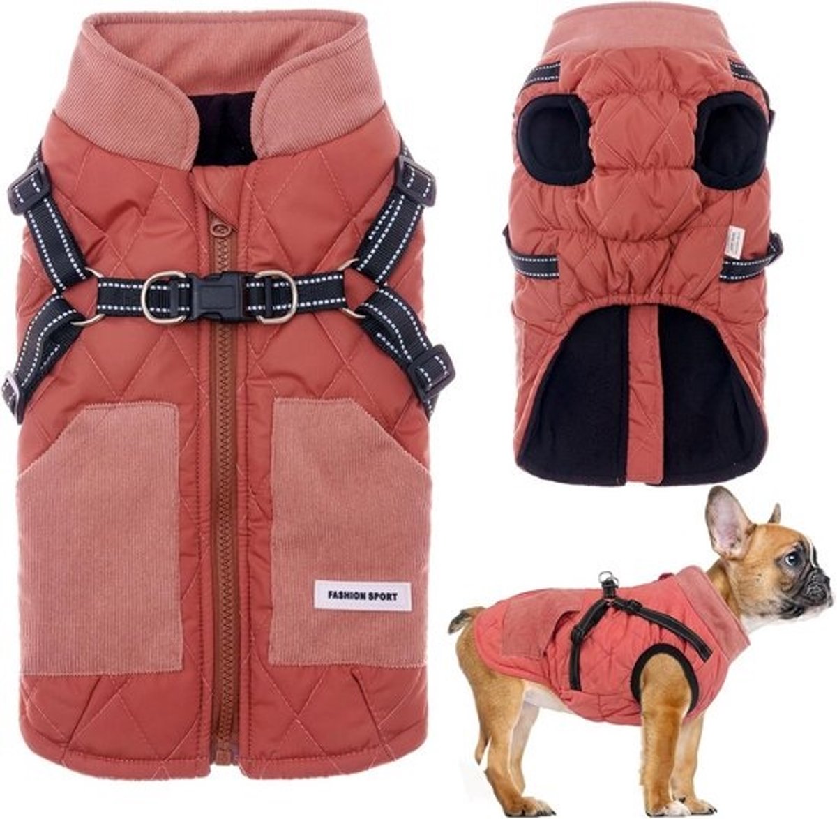 Warm 2-in-1 Hondenjas met Harnas voor Kleine tot Middelgrote Honden | Winddicht Wintervest