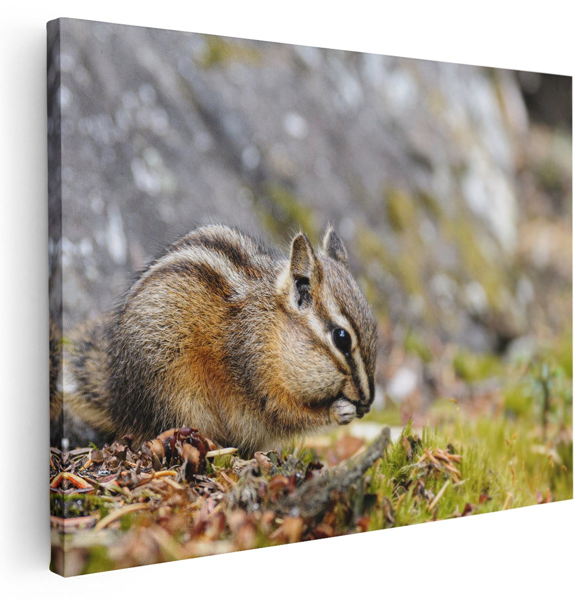 Artaza Canvas Schilderij Eekhoorn op het Gras tussen de Bladeren - 160x120 cm - Groot - Wanddecoratie Woonkamer - Schilderijen - Muurdecoratie