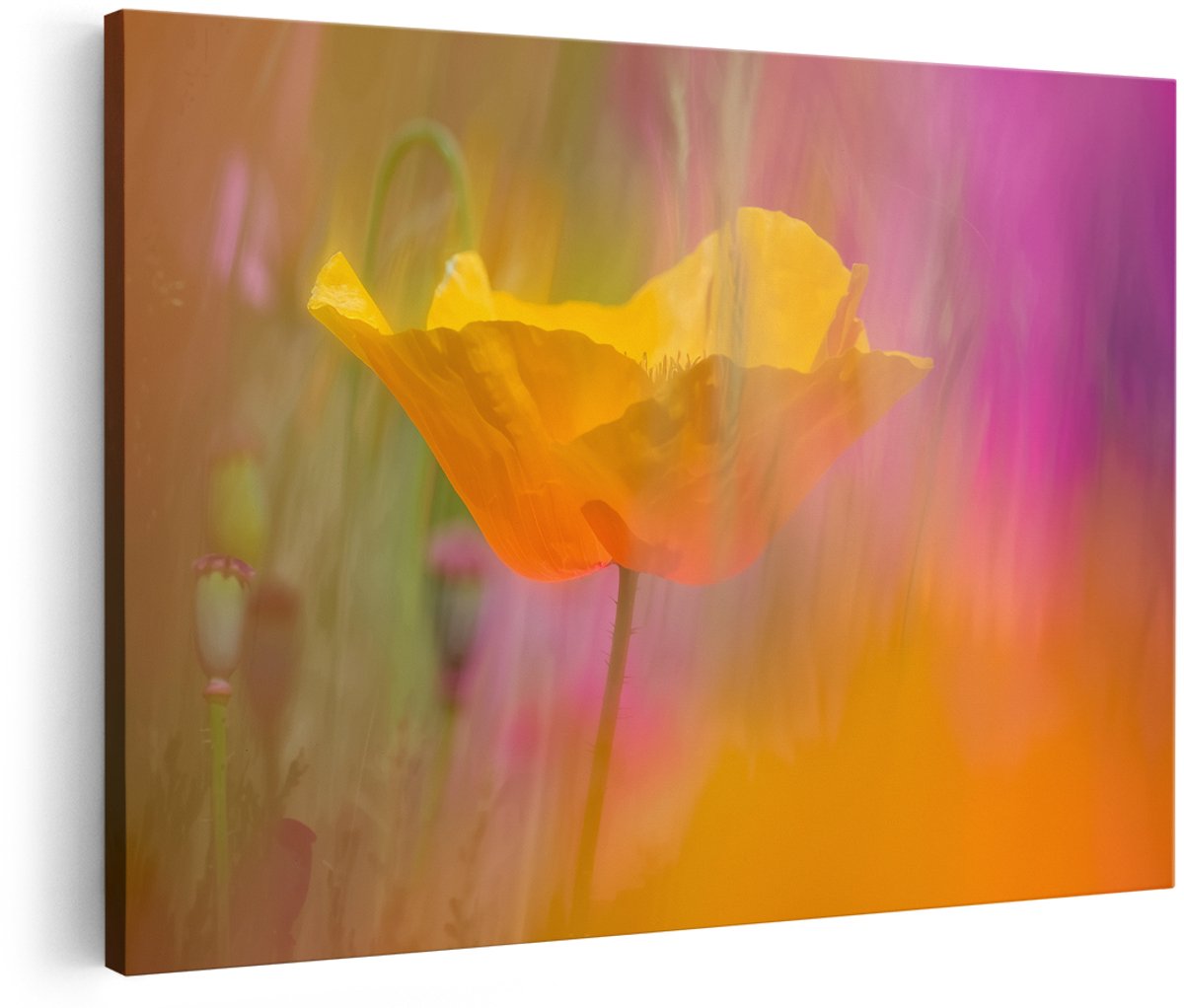 Artaza Canvas Schilderij Gele Klaproos in een Veld met Kleurrijke Bloemen - 180x120 cm - Groot - Wanddecoratie Woonkamer - Schilderijen - Muurdecoratie