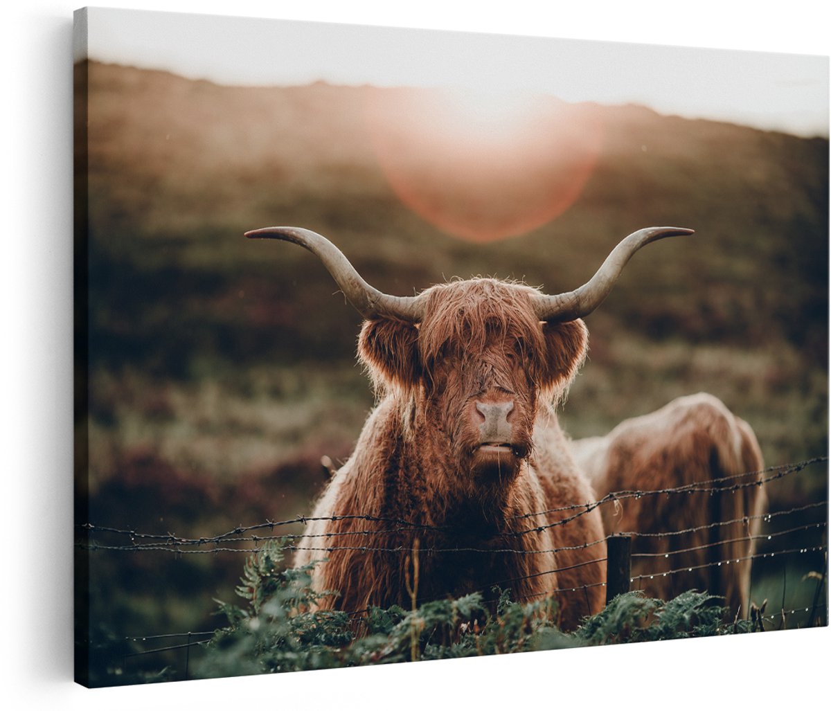 Artaza Canvas Schilderij Schotse Hooglander Koe In De Zon - 180x120 cm - Groot - Wanddecoratie Woonkamer - Schilderijen - Muurdecoratie
