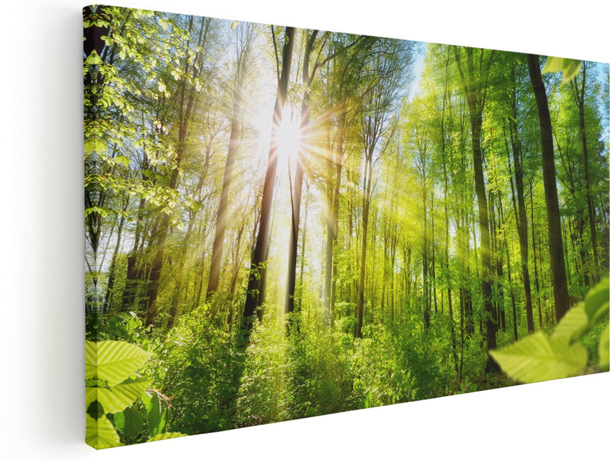 Artaza Canvas Schilderij Weg Omringd Met Bomen In Het Bos - 180x90 cm - Groot - Wanddecoratie Woonkamer - Schilderijen - Muurdecoratie