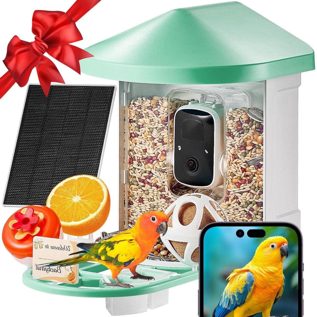 Vogelvoederautomaat Camera - Vogelhuisje Voederhuis - Vogelobservatie Tuin - AI Vogelidentificatie - 2L Capaciteit - Groen