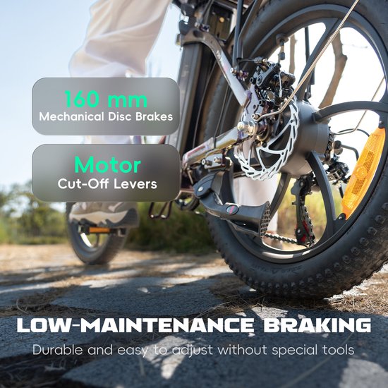 Fafrees F20 Pro Opvouwbare Elektrische Fiets - 250W Motor, 36V 20Ah Accu, 120km Bereik, 7-Speed Shimano, Dubbel Geveerd- Zwart van FAFREES — afbeelding 2