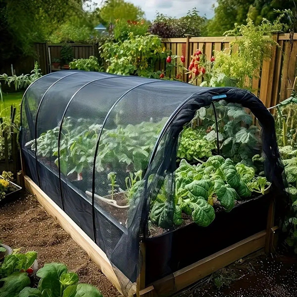 Tuin- en terrasklamboe, insectennet voor de moestuin, fijnmazig, geschikt voor de bescherming van planten, bloemen, groenten en fruit, en ook voor terrasdecoratie. Wordt geleverd met klemmen en een zwart touw van 6 meter,Zwart - 3*10m