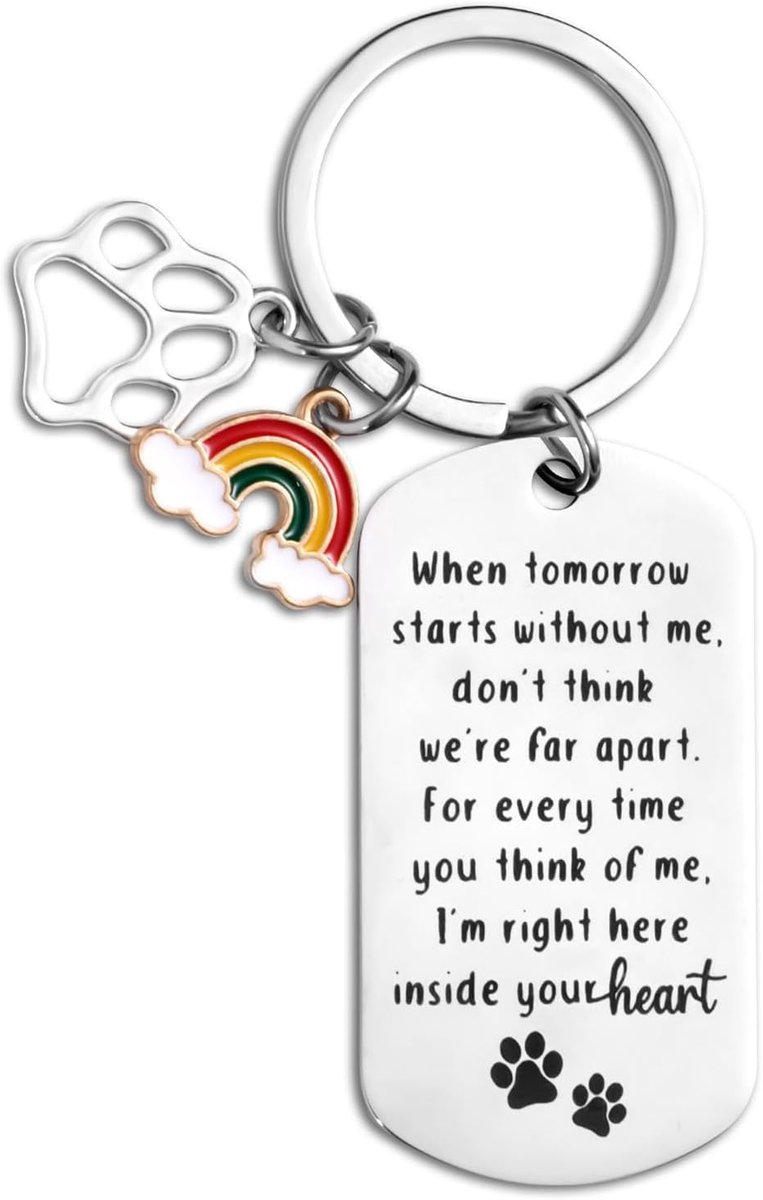Thijox - Hond Herdenkings Sleutelhanger voor Verlies - Poot Regenboog Brug - Sympathie Geschenken voor Honden, Kat en Huisdier - Roestvrij Staal - 5x2