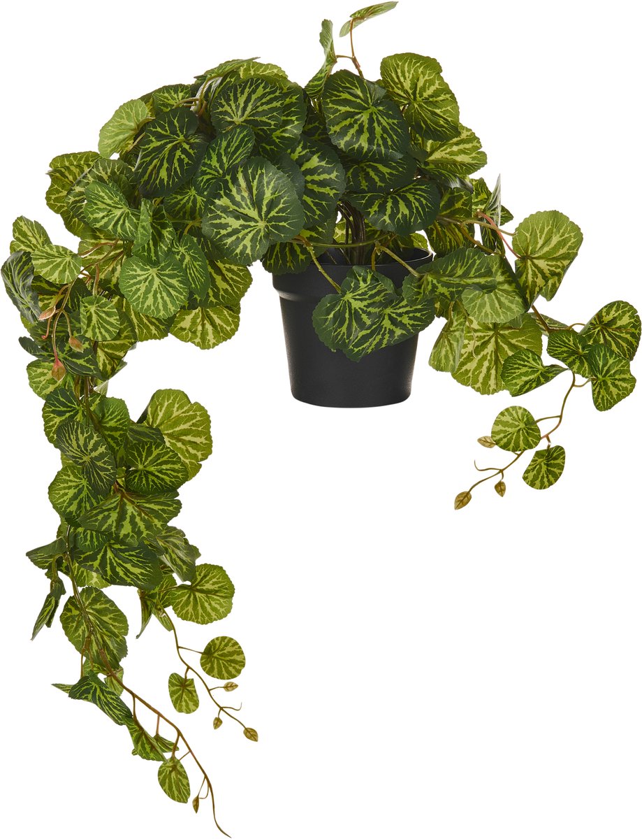 Beliani STRAWBERRY BEGONIA - Kunstplant - Groen - 37 cm - Synthetisch