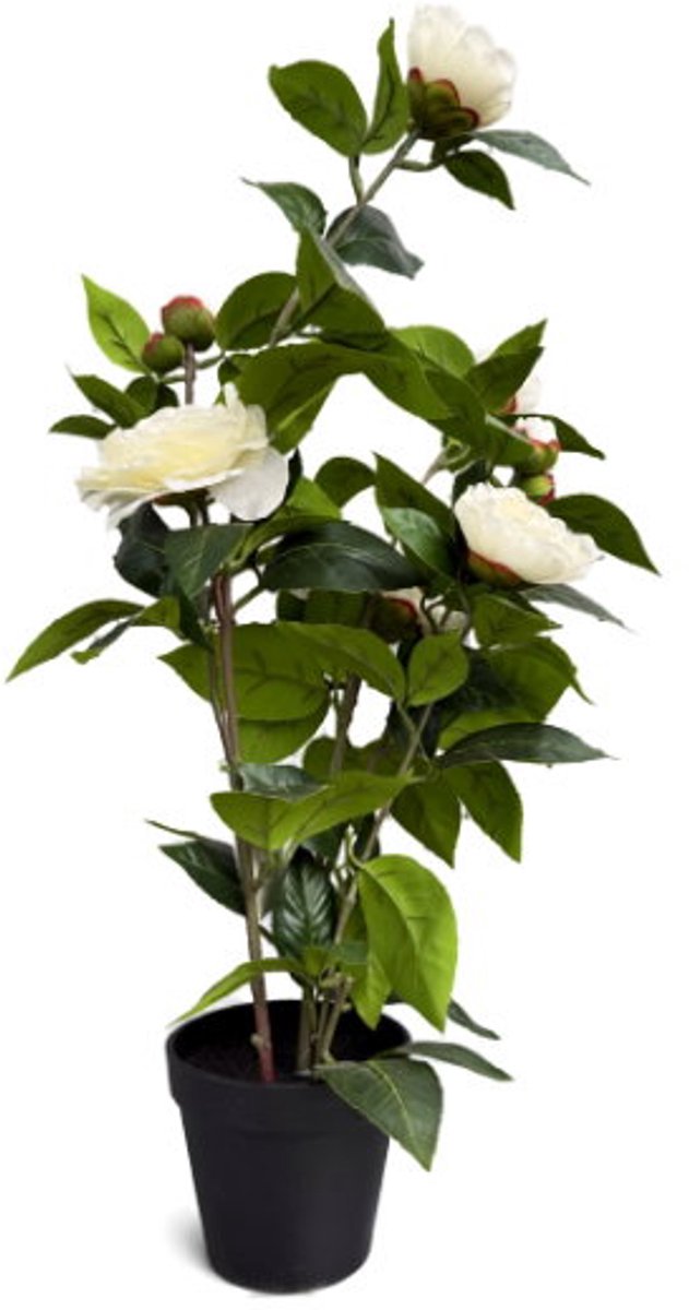 Roos wit in pot H 60 cm kunstplant Oosterik Home