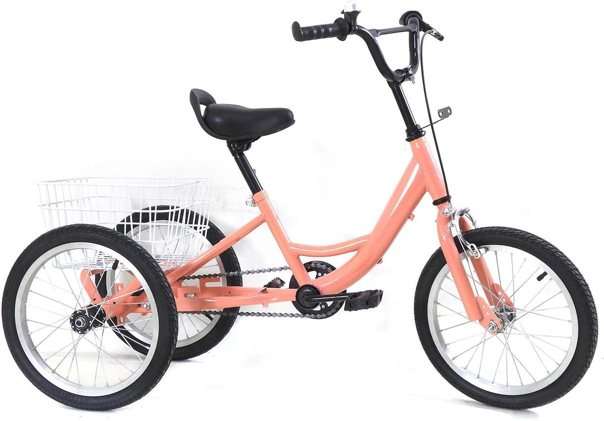 Kinderdriewieler - Driewieler - Veilig Fietsen - Verstelbaar Stuur - 16 Inch - Roze