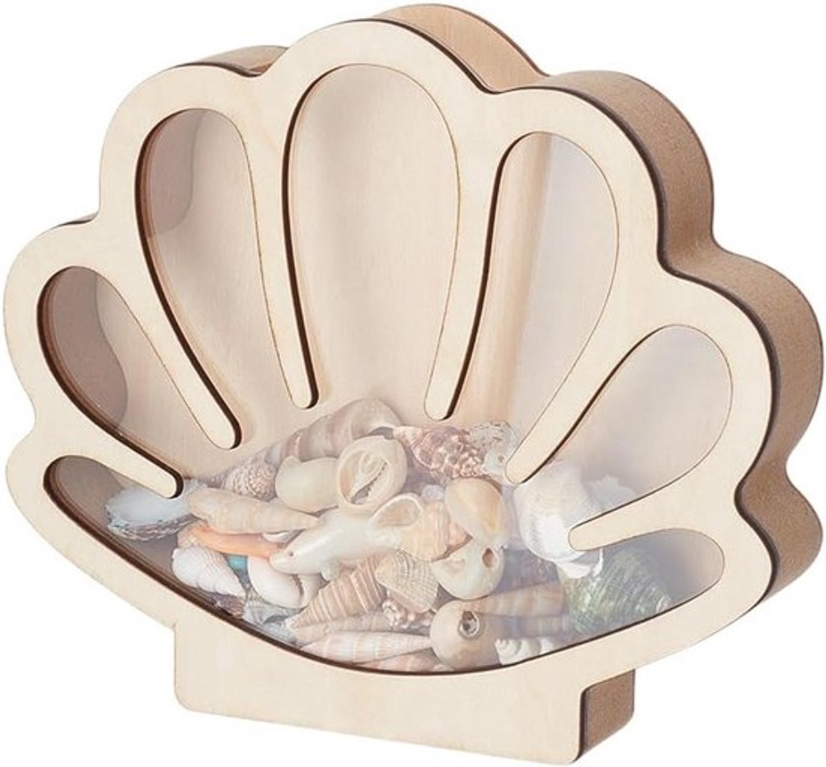 Schelpen displaydoos voor verzamelingen, houten schelpen displaykast met helder venster en sleuf, perfect voor thuisdecoratie, 7 x 1,3 x 6,1 inch, schelpen, decoratie, verzamelobjecten