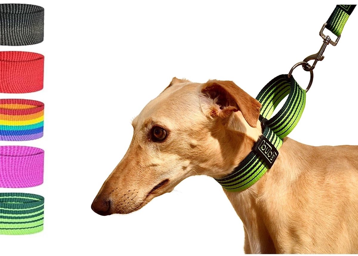 Solidchoice - Martingale Halsband voor Grote/Middelgrote Honden, Groen
