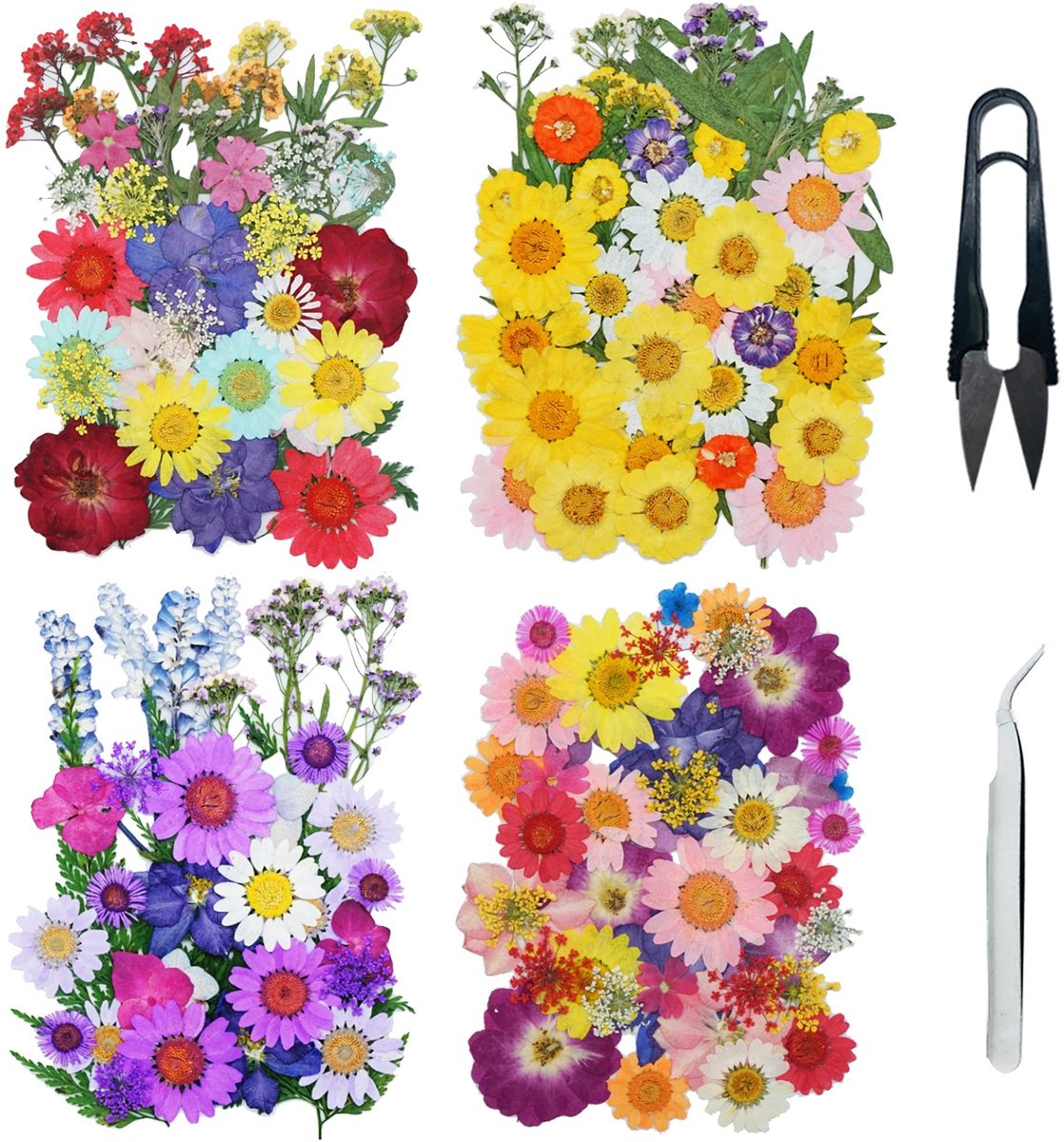 Solidchoice - 160 Stuks Gedroogde Bloemen Set met Pincet en Schaar voor Kunsthandwerk