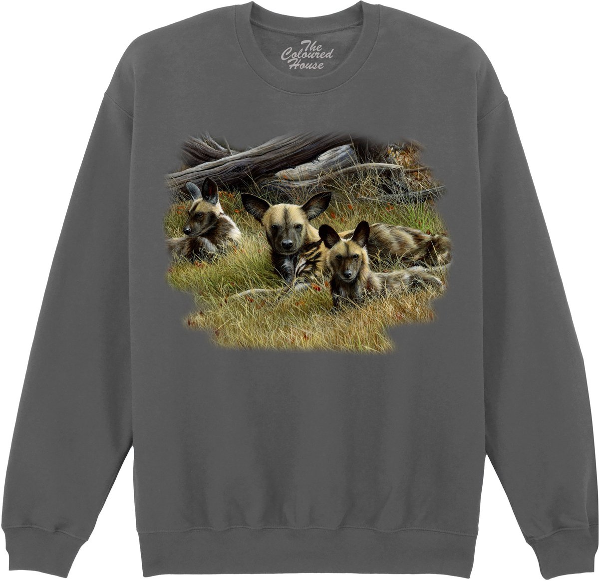 Wilde Hond Wild Dogs Family The Coloured House Sweater 4XL