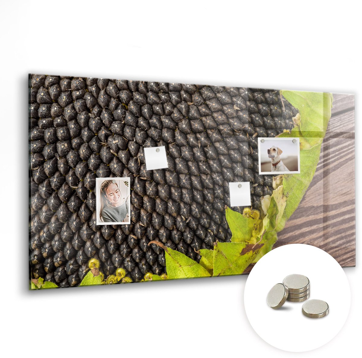 Coloray Glazen Magneetbord - Magnetisch Bord Sierbloemen - 120x60 cm - Veelkleurig Magneetbord - Magnetic Board - Woonkamer Decoratie