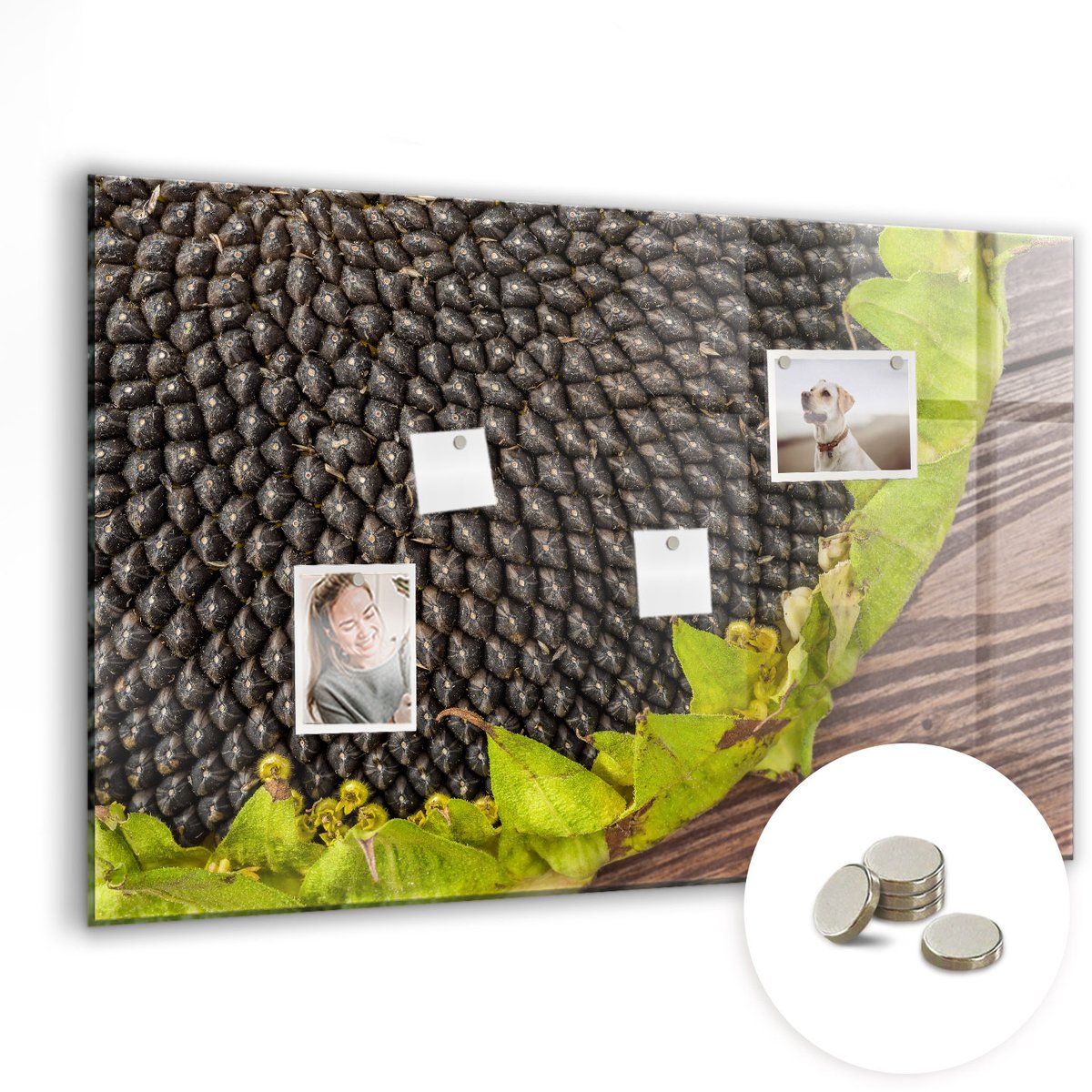 Coloray Glazen Magneetbord - Magnetisch Bord Laten we op reis gaan. - 90x60 cm - Veelkleurig Magneetbord - Magnetic Board - Memobord