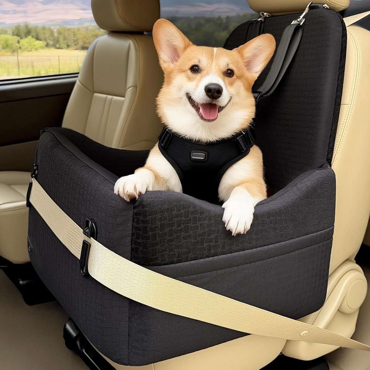 Hond Autostoel - Reis Zitje - Veilig Reizen - Alle Levensfase - 51 x 48 x 60 cm - Grijs