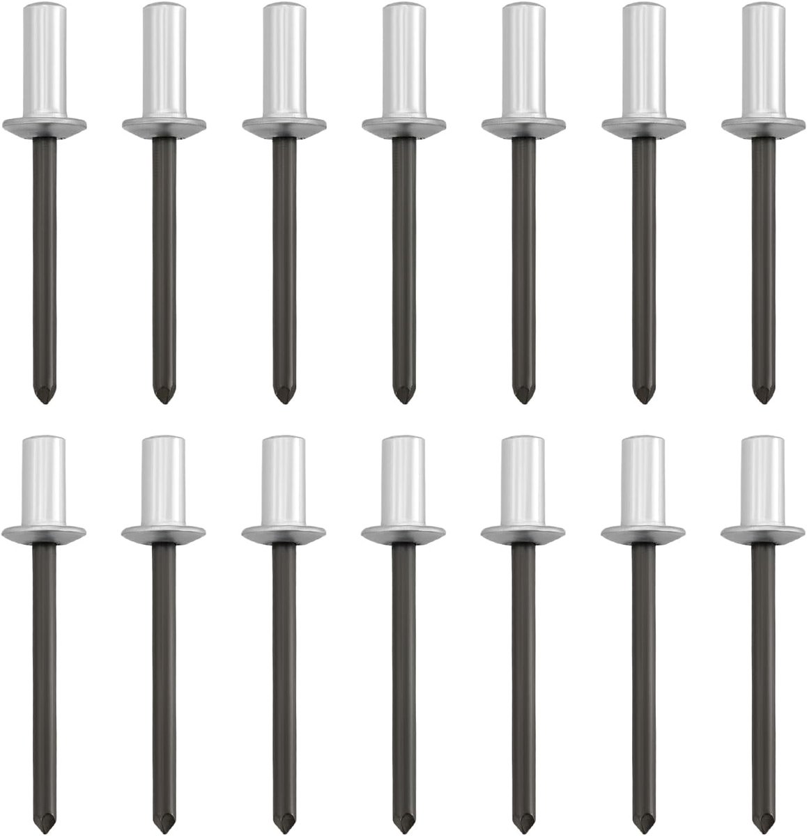 SnelShoppen - 100 Stuks 10mmx4.8mm en 13mmx4.8mm Blindnieten Gesloten Einde Aluminium Blind Rivets met Stalen Mandrel voor Reparatie van Botenn, Vlieg