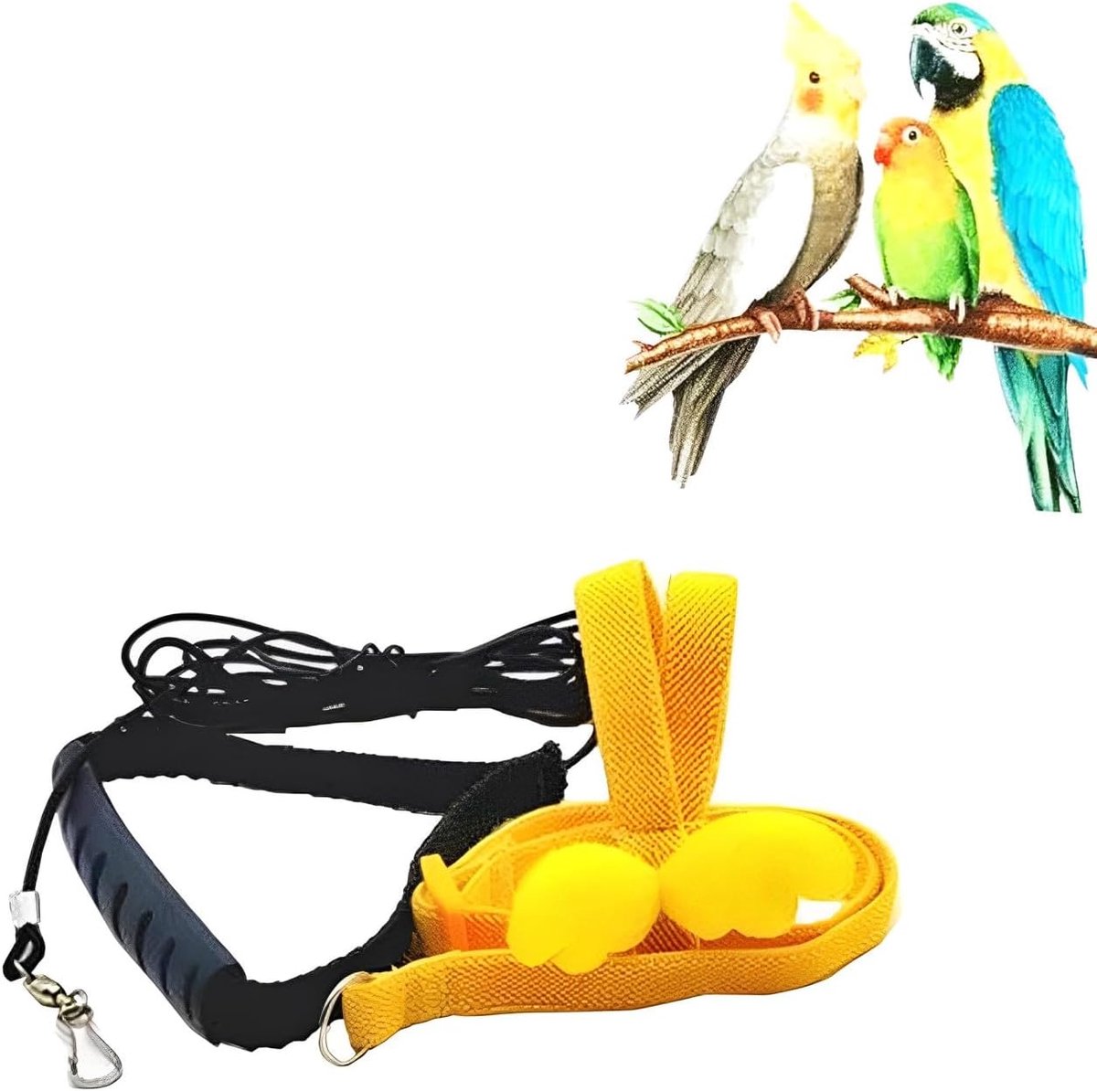 Papegaai Harnas en Leash - Verstelbaar Nylon - Comfortabel Ontwerp - Ideaal voor Buitenactiviteiten - SnelShoppen