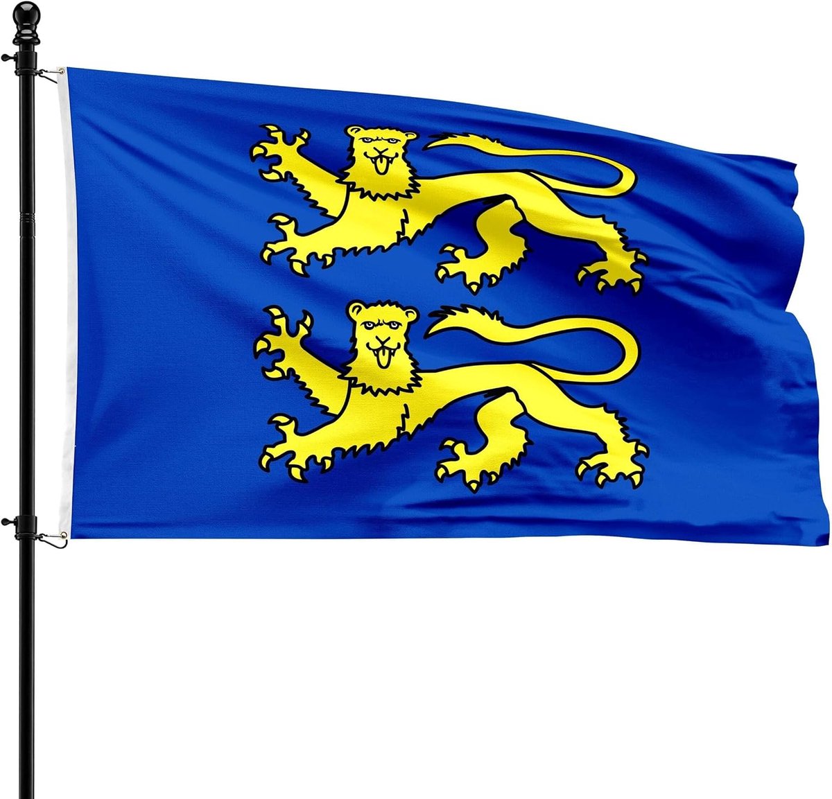 SnelShoppen - Gemeente Daverdisse Vlag - 90 x 150 cm Kwaliteitsvlag van Duurzaam Polyester - Windbestendige en UV-werende Vlag voor Vlaggenmast - Perf
